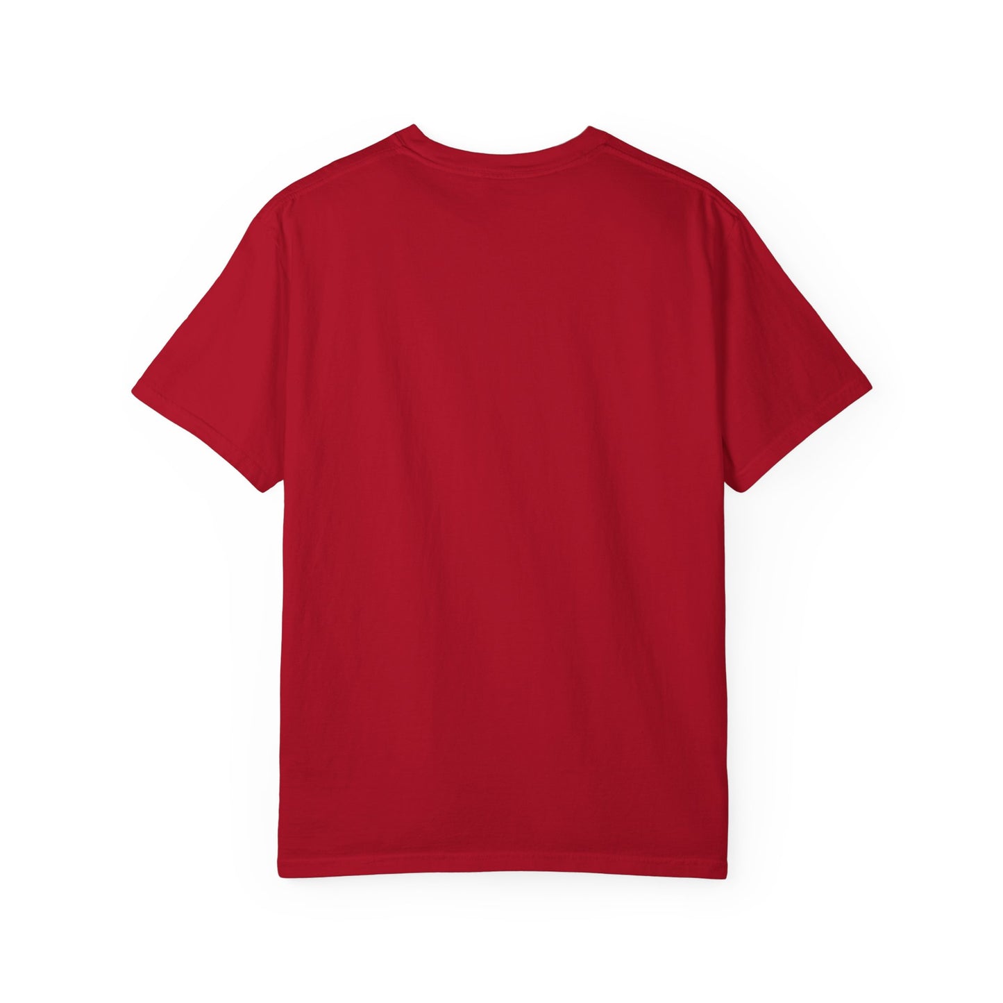 B100 -Garment-Dyed T-shirt, Casual Wear, Street Style, Gift for Friends, Everyday Comfort, Unique Graphic Tee