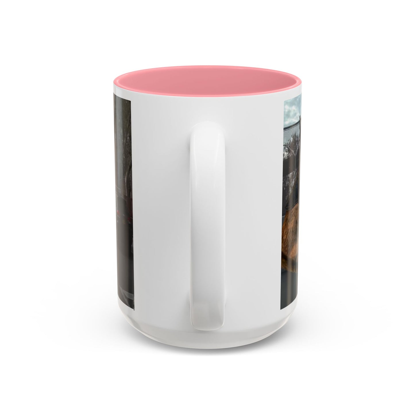 SAVE The KITTIES (Cat rescue fund raiser )-Two-Tone Accent Mug (11oz, 15oz)