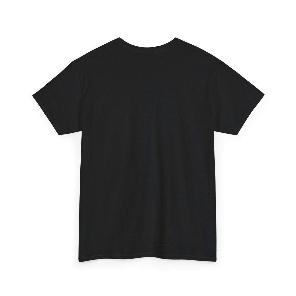 Emotionally Attached to Fictional People T-Shirt - Funny Book Lover Tee - Budget Edition
