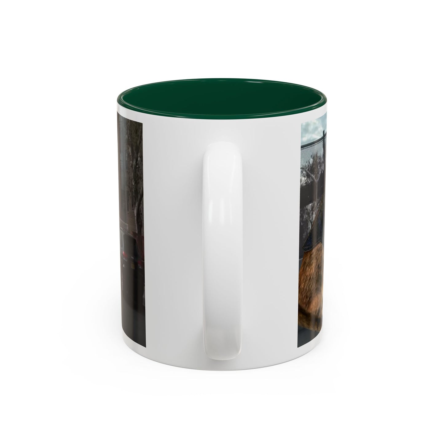 SAVE The KITTIES (Cat rescue fund raiser )-Two-Tone Accent Mug (11oz, 15oz)