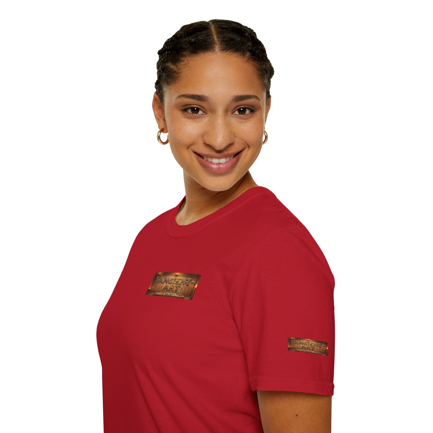 Ancient Art 5 - Supreme Authority -Unisex Soft style T-Shirt