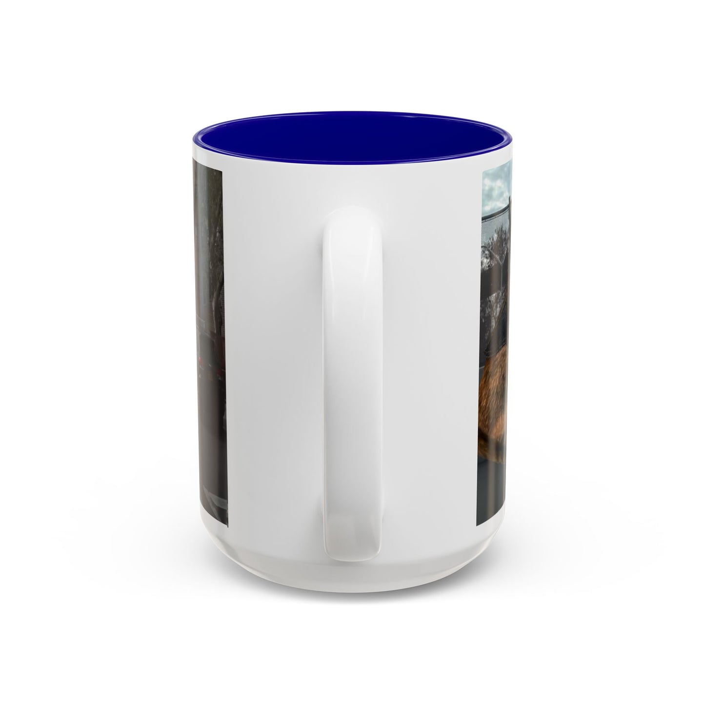 SAVE The KITTIES (Cat rescue fund raiser )-Two-Tone Accent Mug (11oz, 15oz)