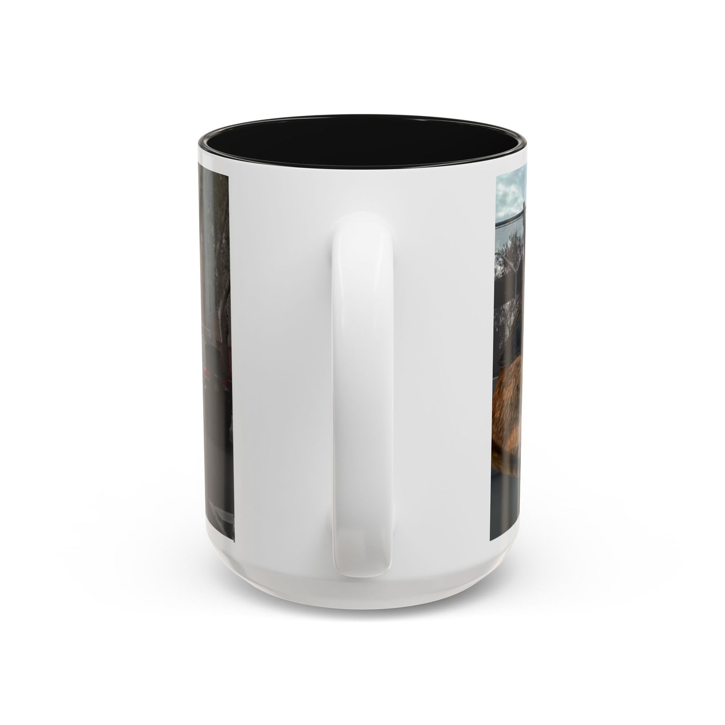 SAVE The KITTIES (Cat rescue fund raiser )-Two-Tone Accent Mug (11oz, 15oz)