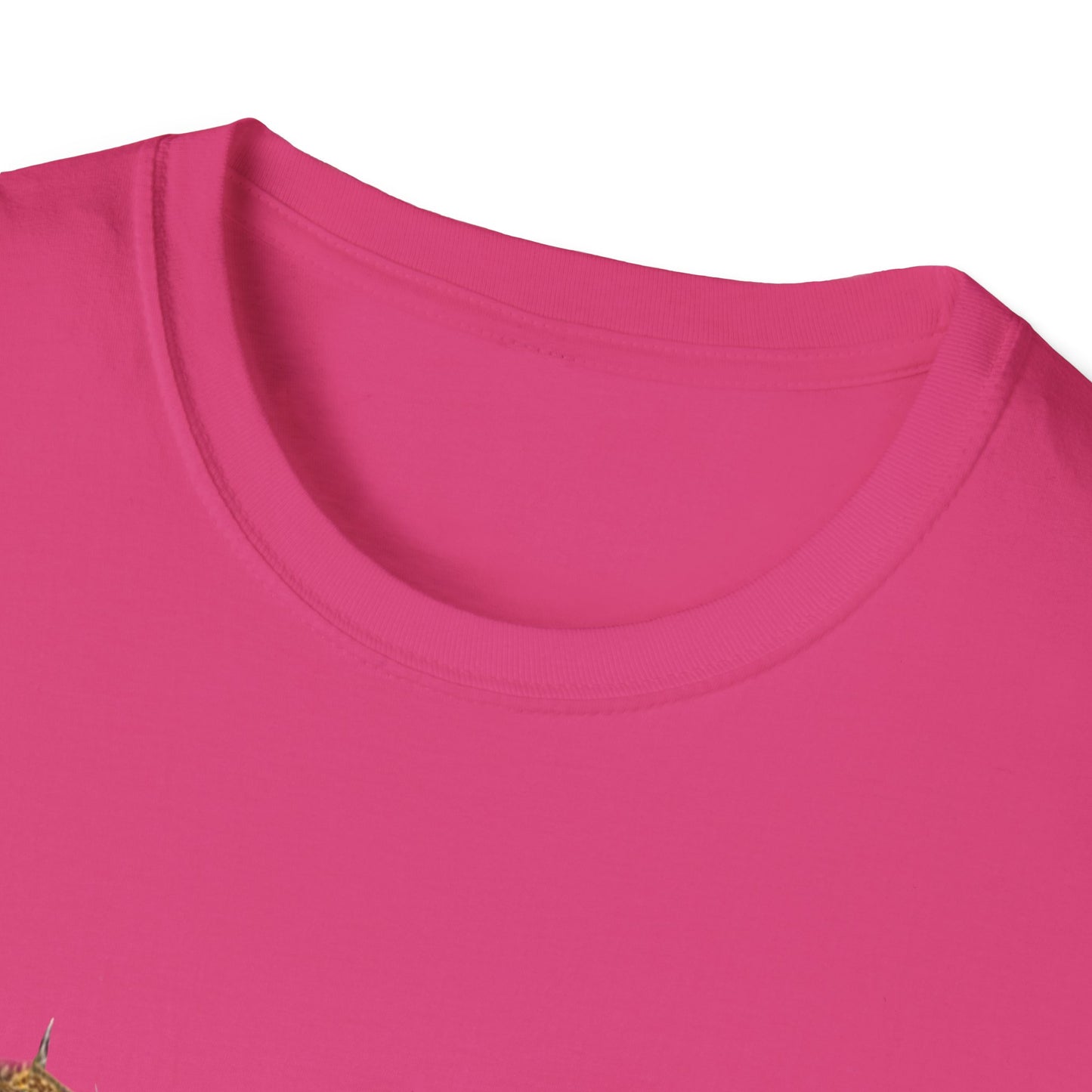 NO KINGS 2 -Unisex Softstyle T-Shirt