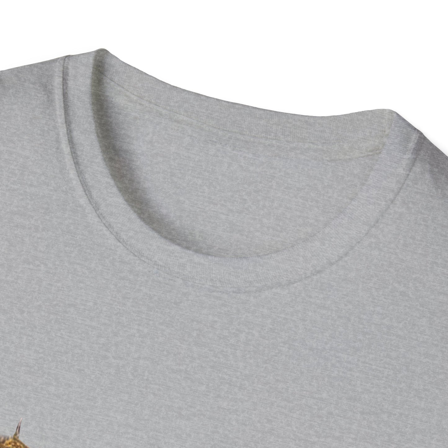 NO KINGS 2 -Unisex Softstyle T-Shirt