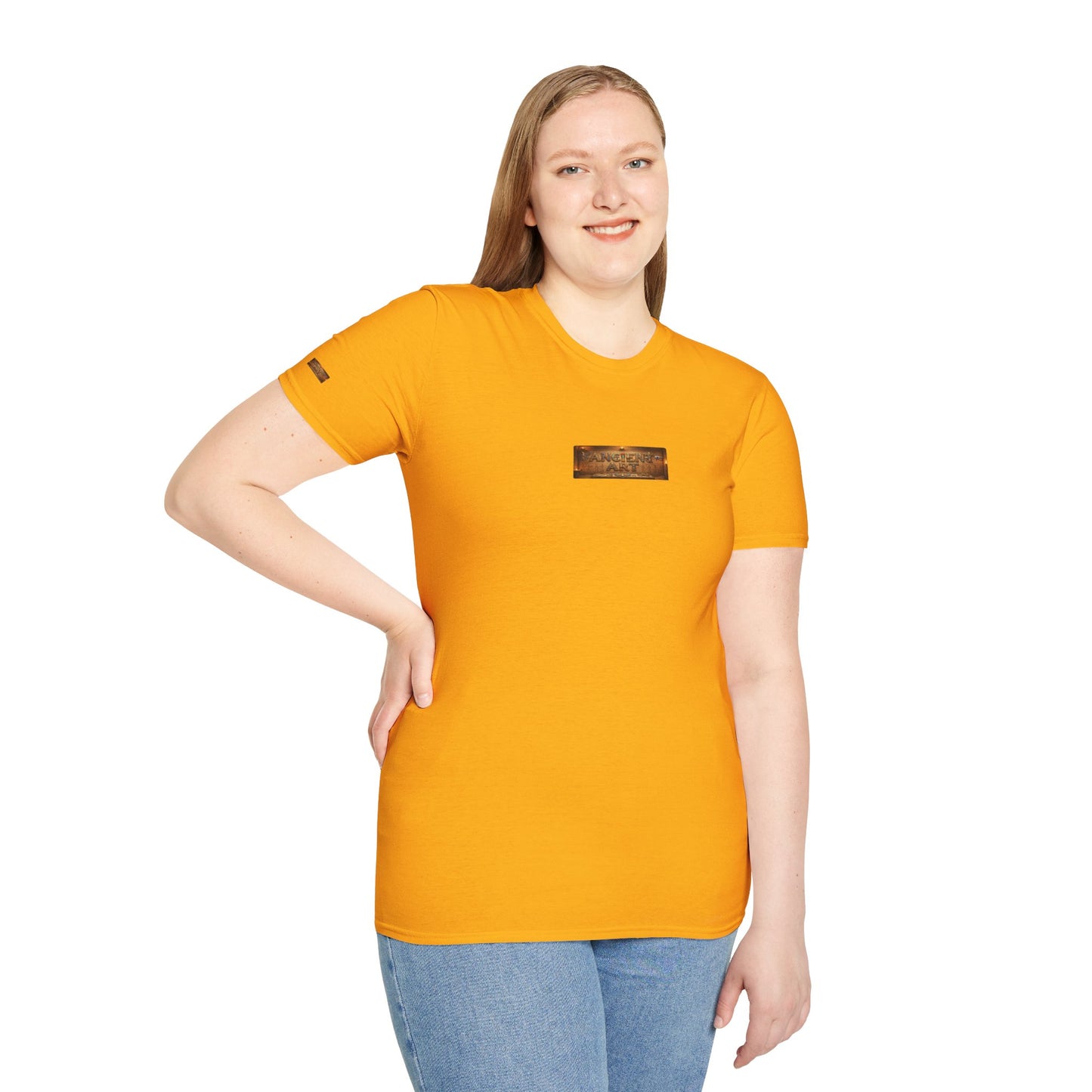 Ancient Art 9 By Supreme Authority -Unisex Soft style T-Shirt