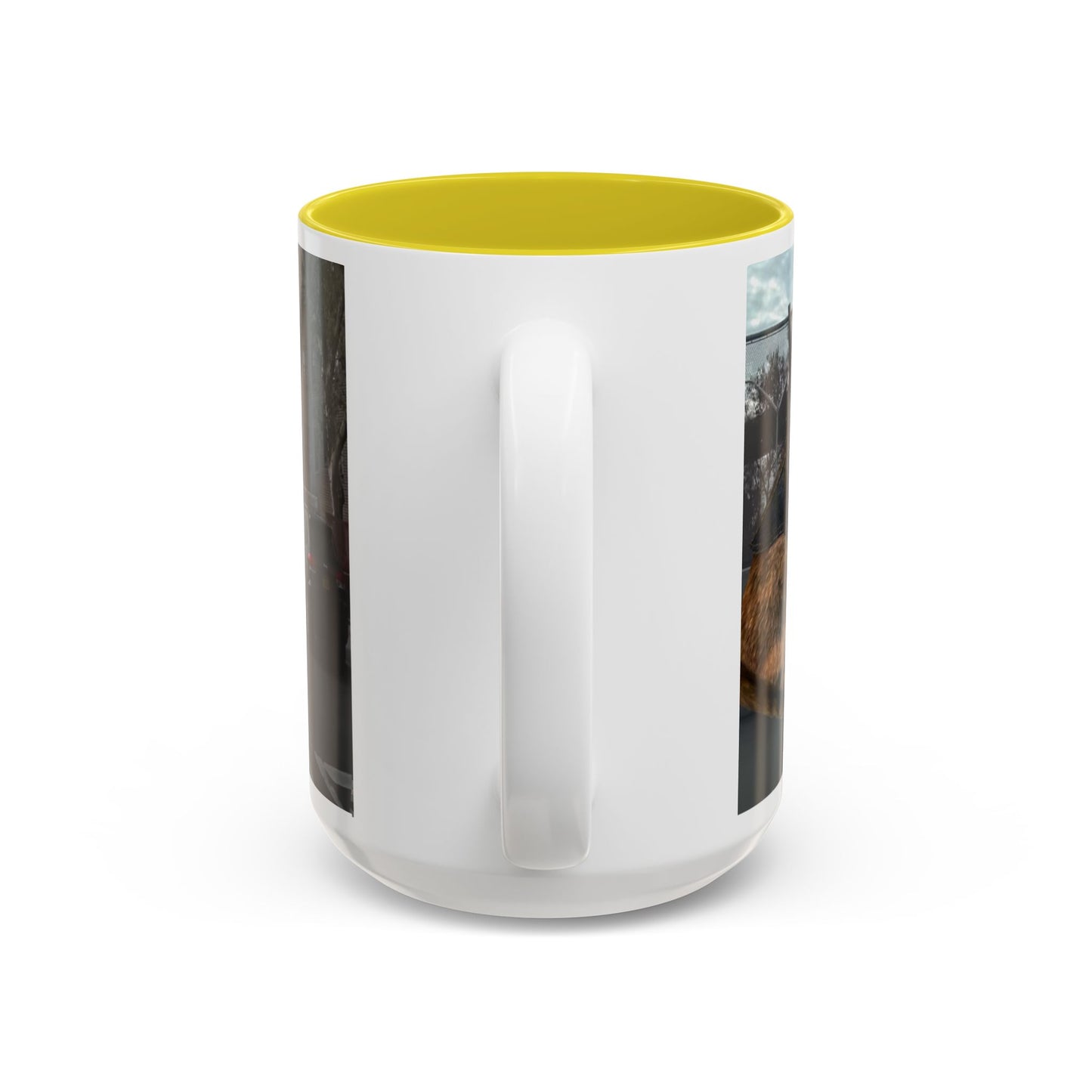 SAVE The KITTIES (Cat rescue fund raiser )-Two-Tone Accent Mug (11oz, 15oz)
