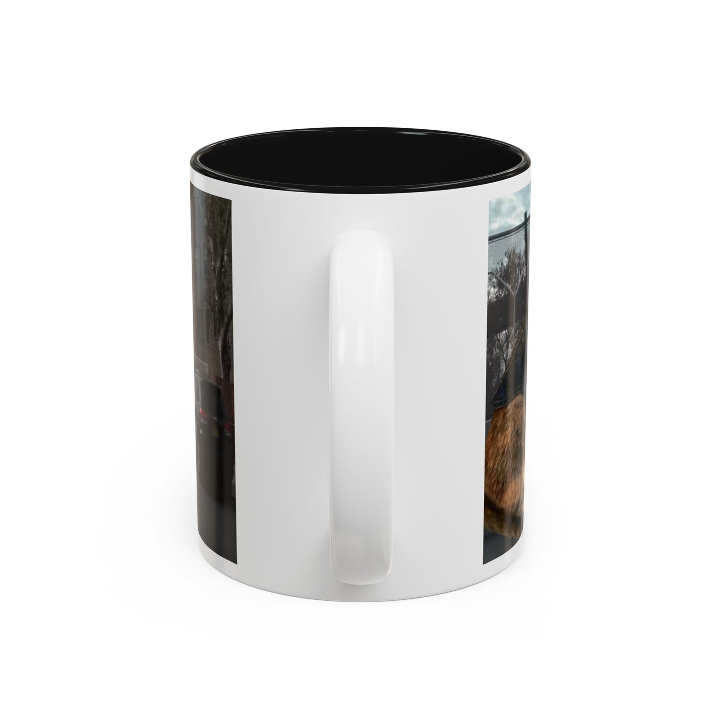 SAVE The KITTIES (Cat rescue fund raiser )-Two-Tone Accent Mug (11oz, 15oz)