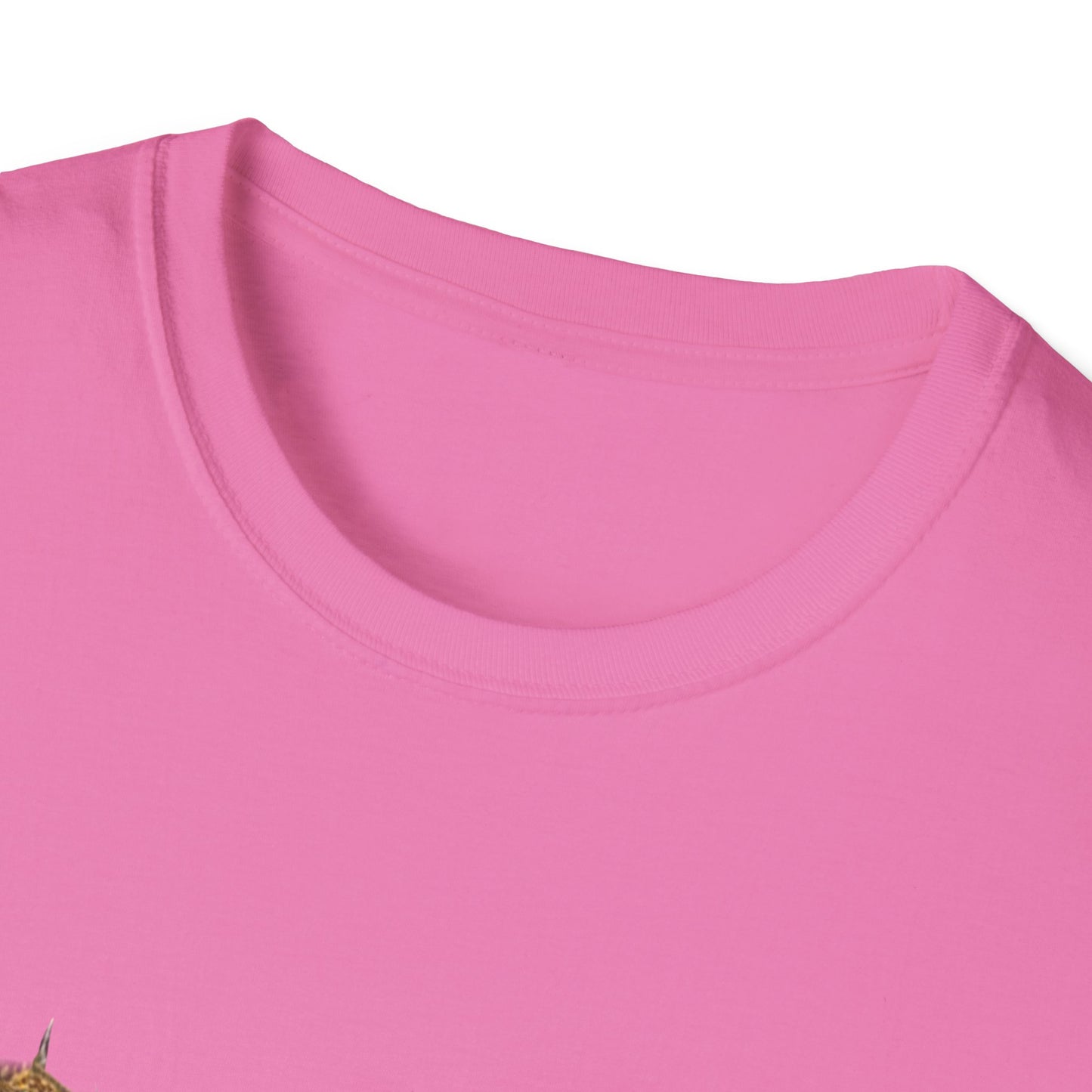 NO KINGS 2 -Unisex Softstyle T-Shirt