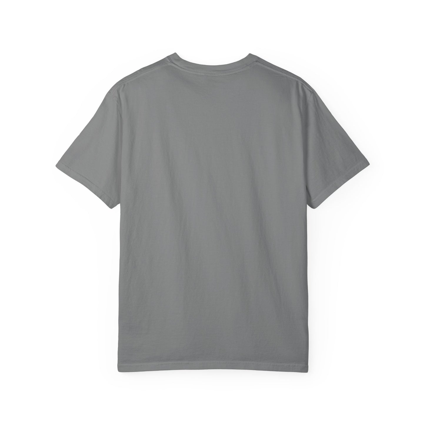 Permission Granted! Shane Taylor Portrait -Unisex Garment-Dyed T-shirt