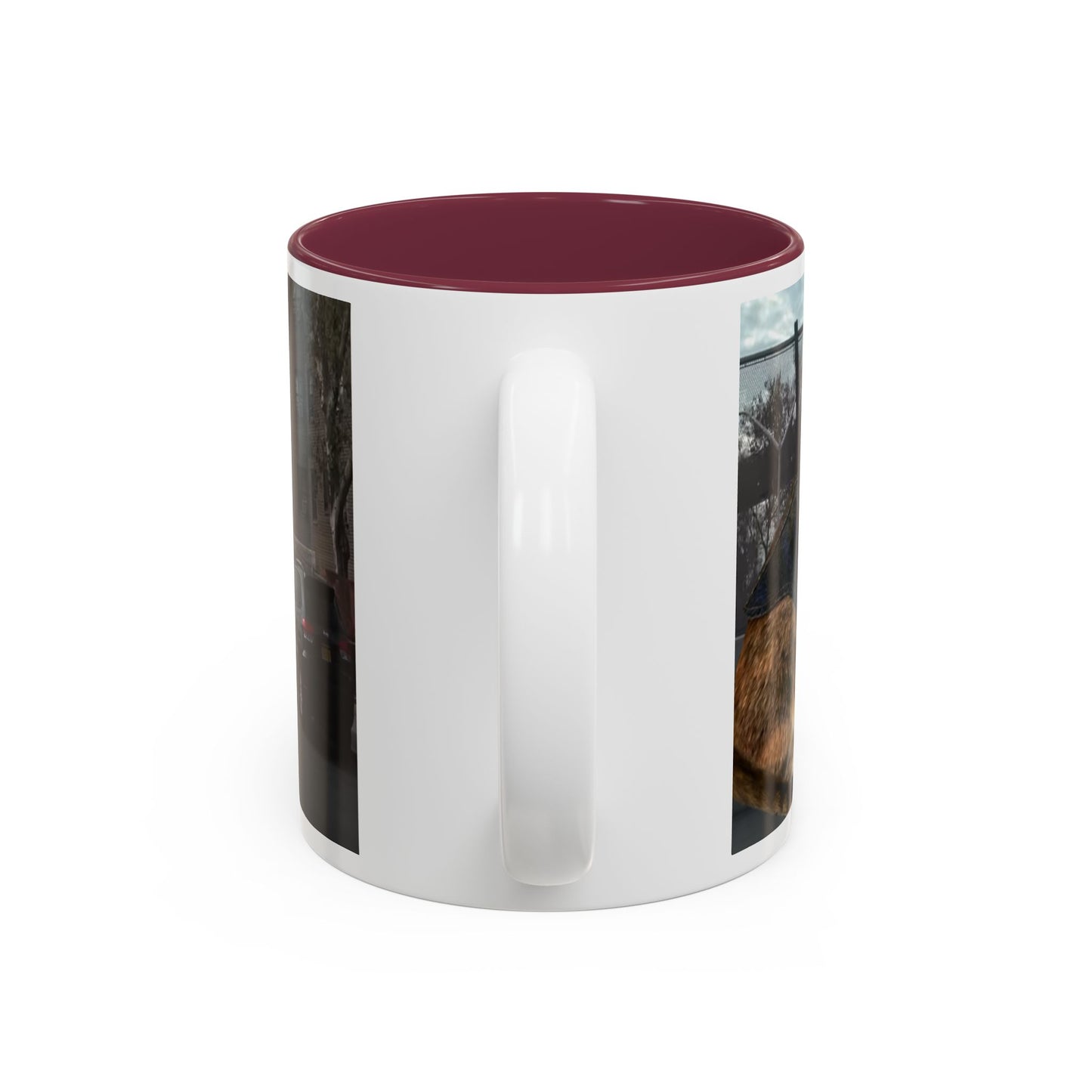 SAVE The KITTIES (Cat rescue fund raiser )-Two-Tone Accent Mug (11oz, 15oz)