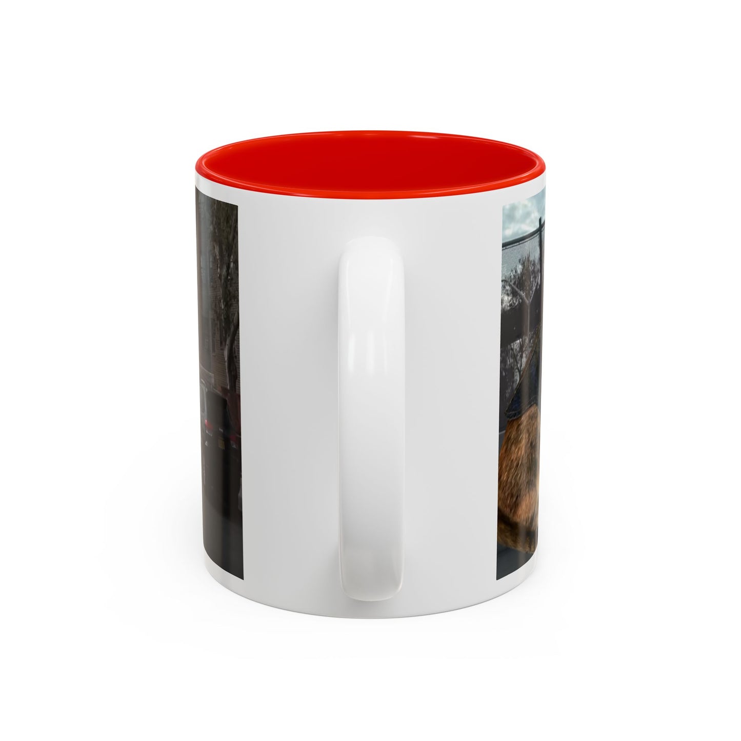 SAVE The KITTIES (Cat rescue fund raiser )-Two-Tone Accent Mug (11oz, 15oz)