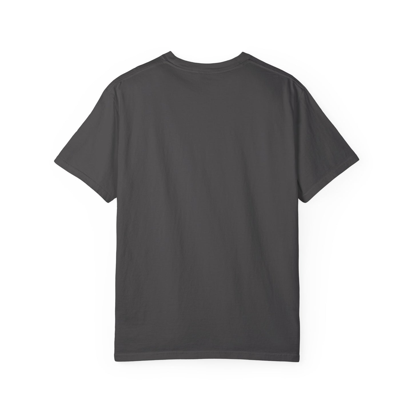 Permission Granted! Shane Taylor Portrait -Unisex Garment-Dyed T-shirt