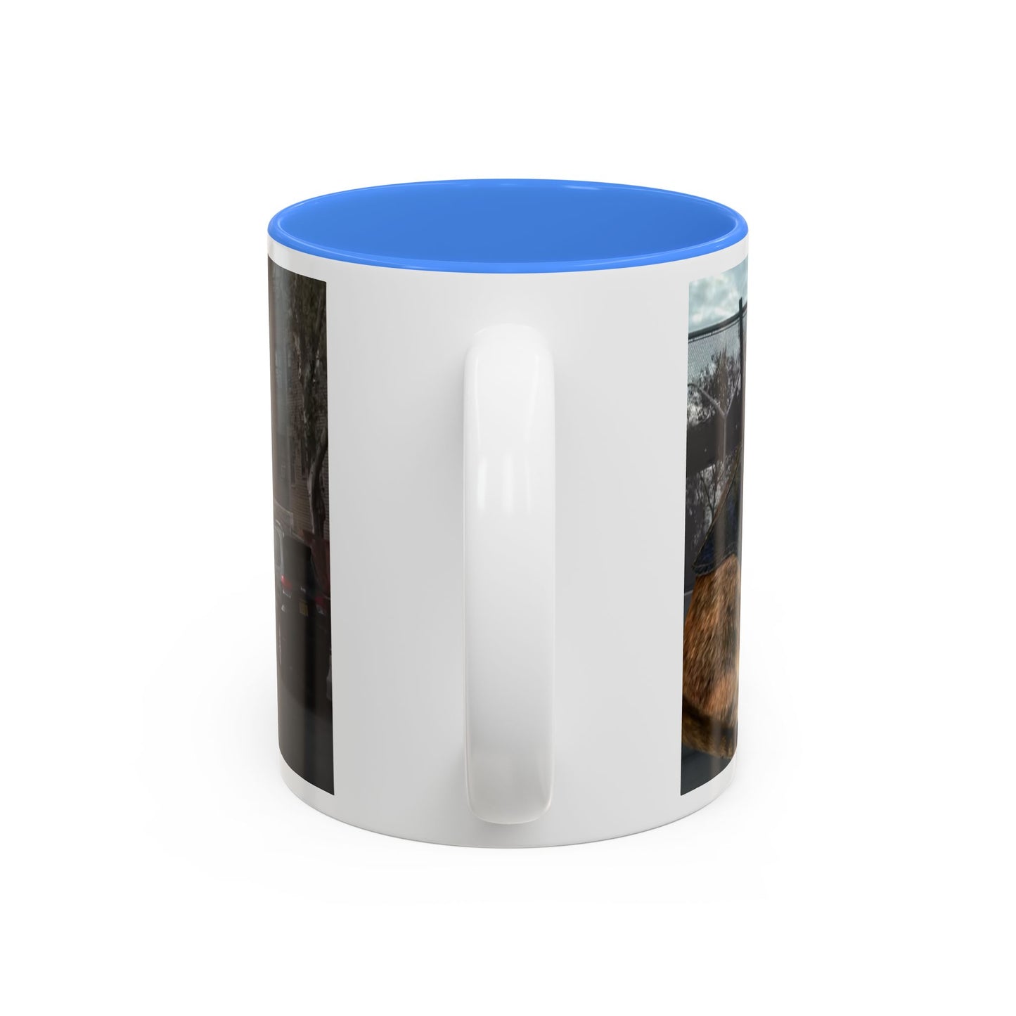 SAVE The KITTIES (Cat rescue fund raiser )-Two-Tone Accent Mug (11oz, 15oz)