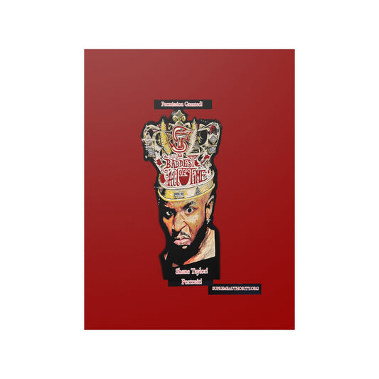 Shane Taylor Permission Granted! -Satin Posters (210gsm)