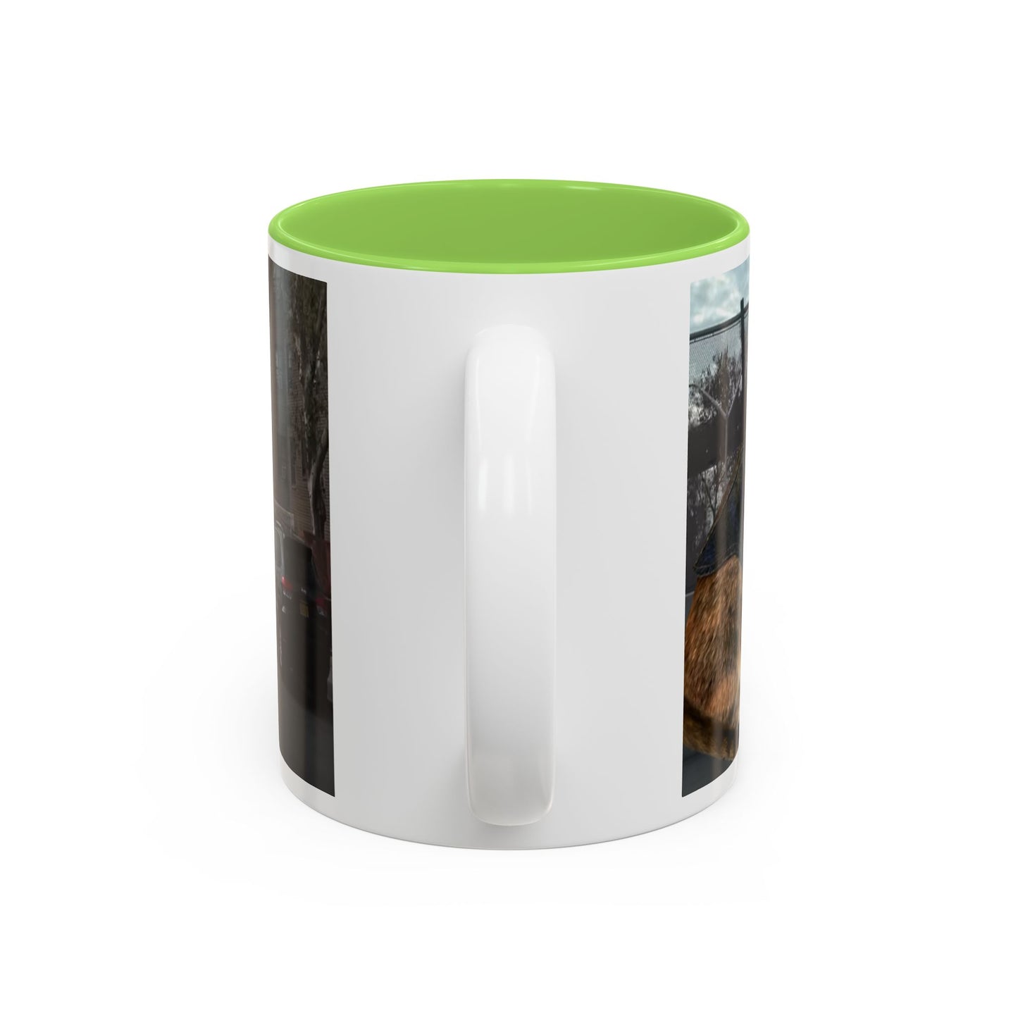 SAVE The KITTIES (Cat rescue fund raiser )-Two-Tone Accent Mug (11oz, 15oz)