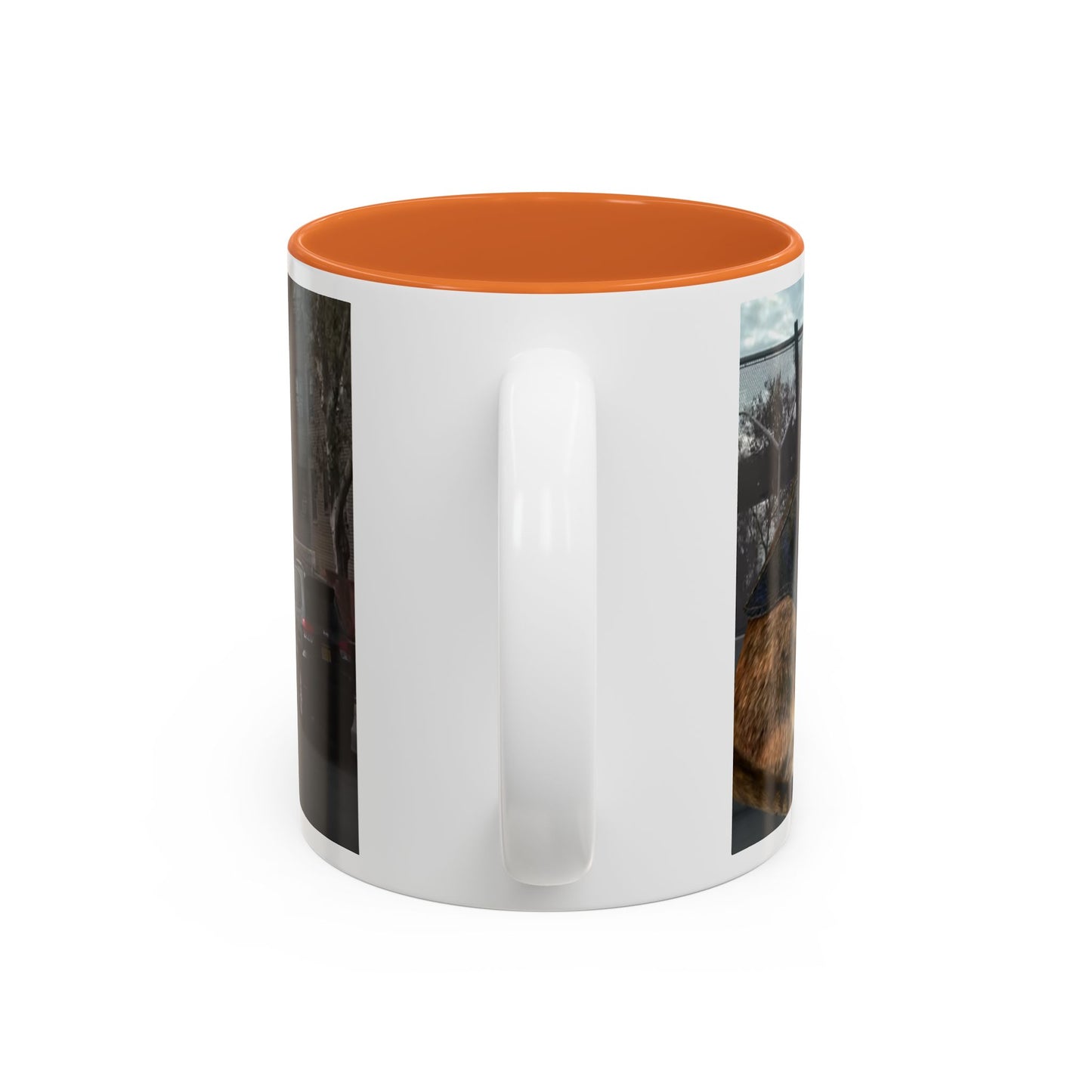 SAVE The KITTIES (Cat rescue fund raiser )-Two-Tone Accent Mug (11oz, 15oz)