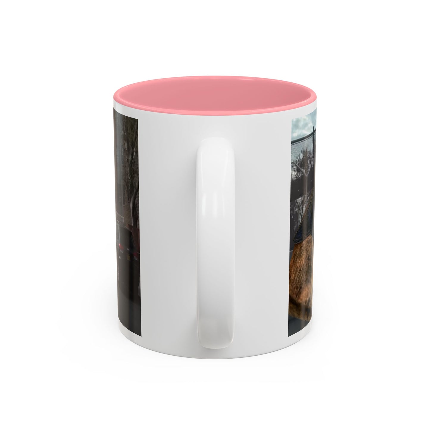 SAVE The KITTIES (Cat rescue fund raiser )-Two-Tone Accent Mug (11oz, 15oz)