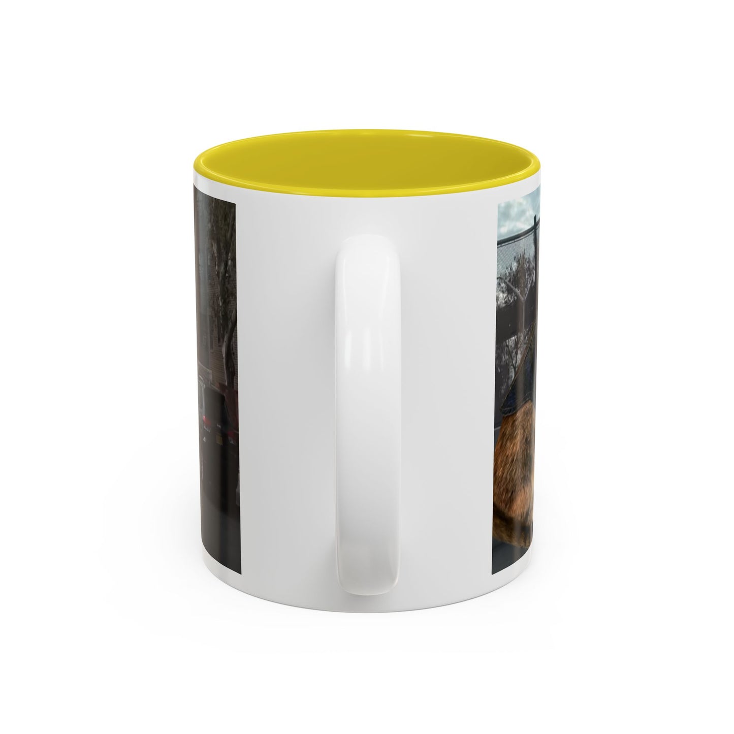 SAVE The KITTIES (Cat rescue fund raiser )-Two-Tone Accent Mug (11oz, 15oz)