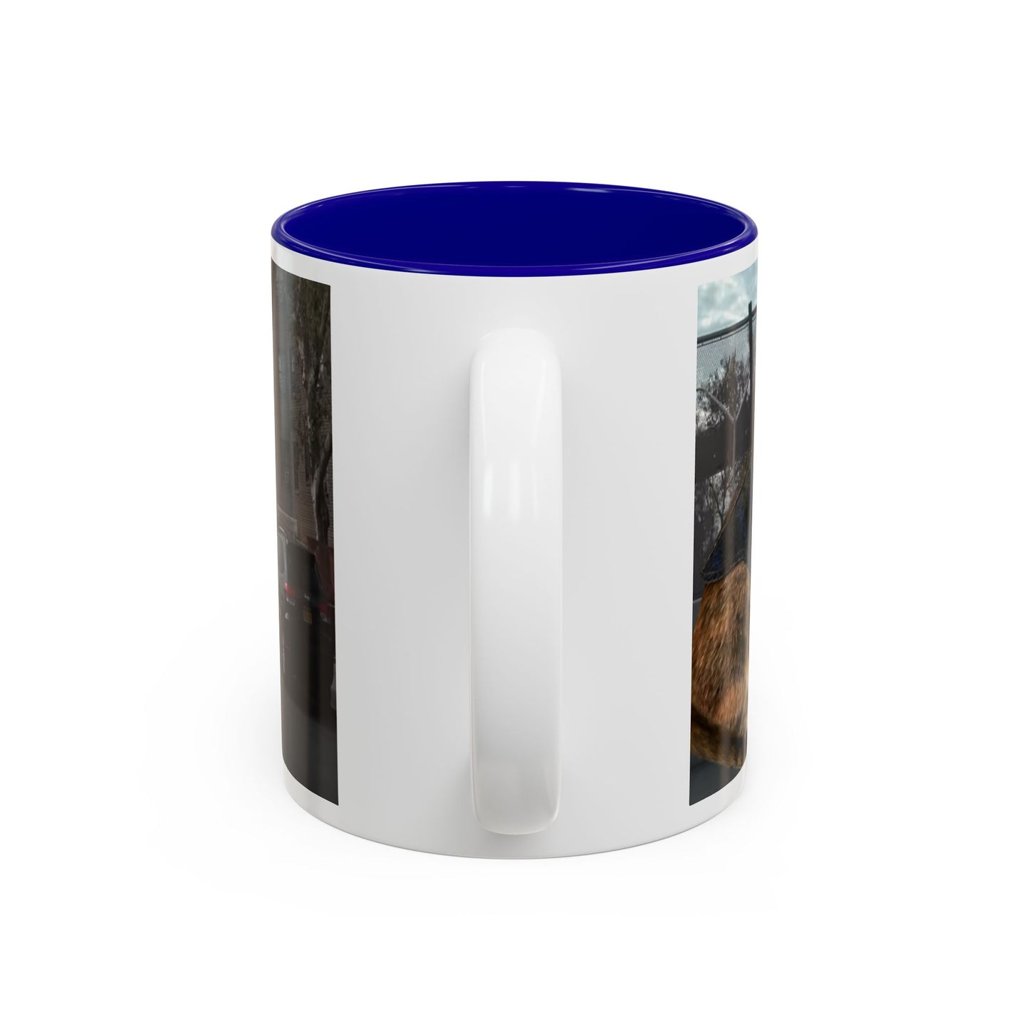 SAVE The KITTIES (Cat rescue fund raiser )-Two-Tone Accent Mug (11oz, 15oz)